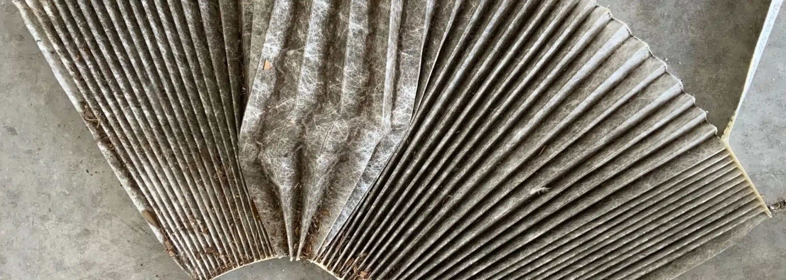 Close-up of a pleated paper fan with a textured surface, reminiscent of precision found in pre-purchase inspections. The folds create a symmetrical pattern, and the light highlights its intricate design.