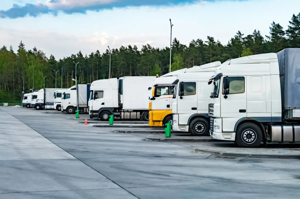 Row of heavy-duty white semi-trucks with cabs parked diagonally at a commercial truck stop against a backdrop of a dense pine forest.