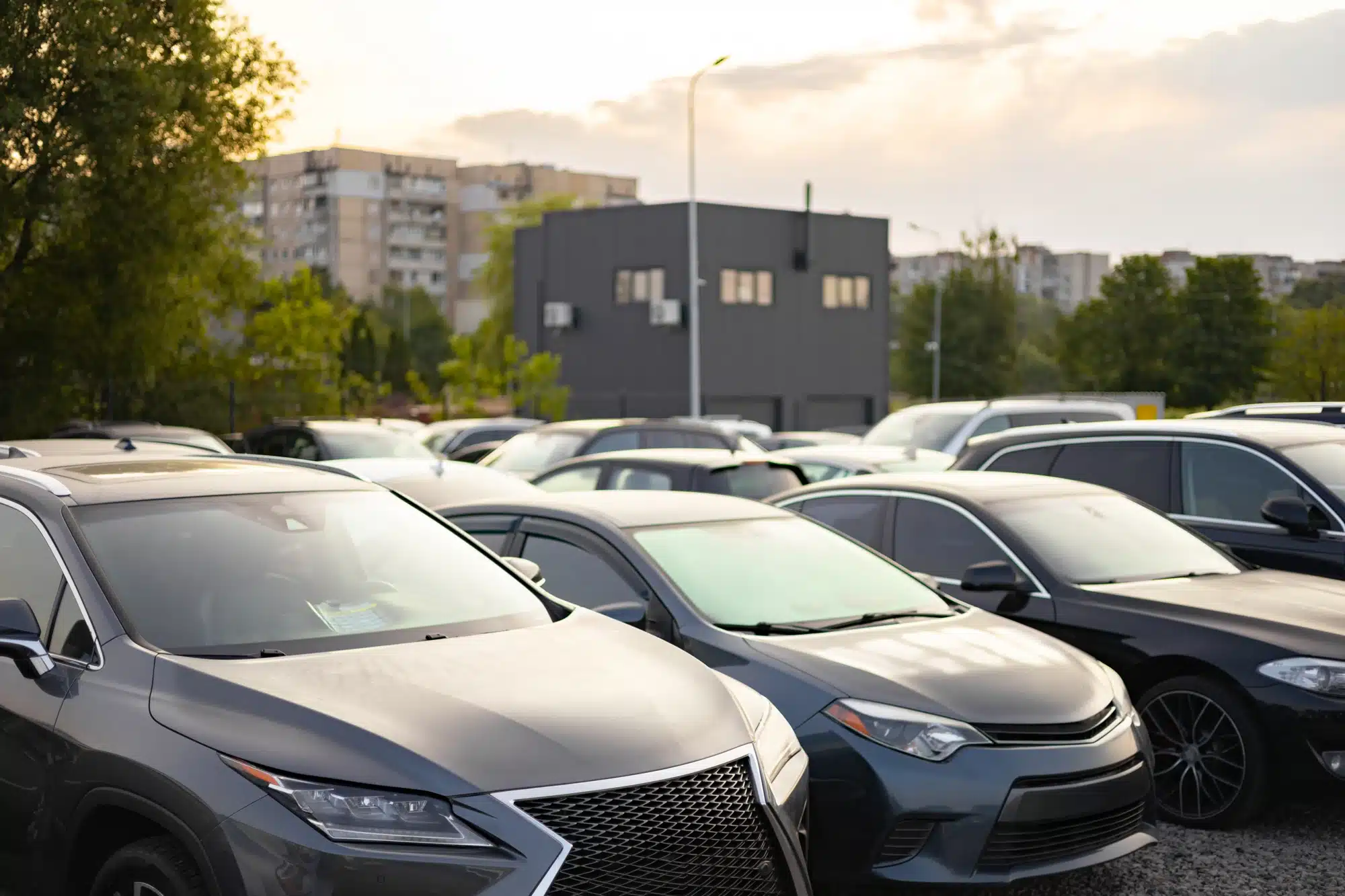 Row of modern sedans and SUVs parked at an outdoor car dealership lot during a warm, sunny sunset.