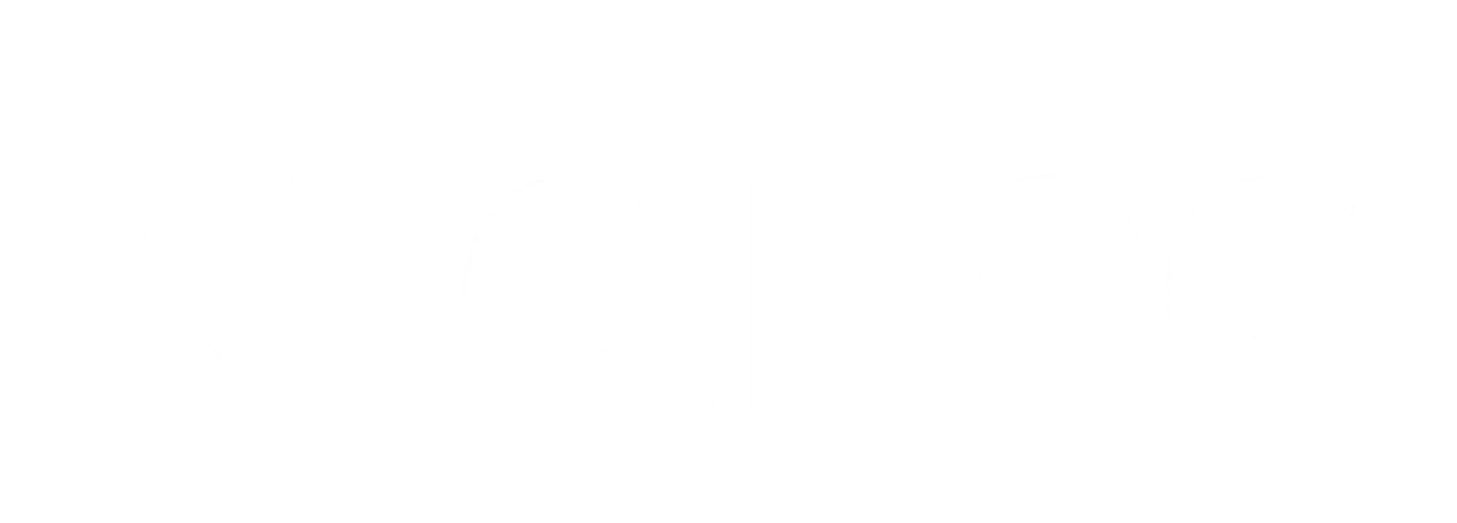 Klarna White Logo